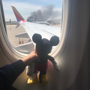 Meet your Posher, Lindsay